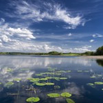 WAKACJE Z JOGĄ :: KRUTYŃ NA MAZURACH :: JOGA DLA KRĘGOSŁUPA I VINYASA :: K2